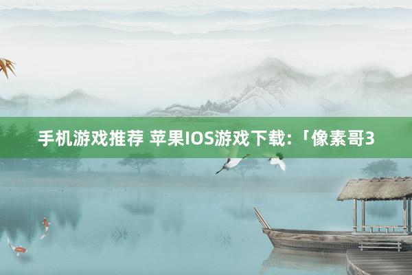 手机游戏推荐 苹果IOS游戏下载:「像素哥3